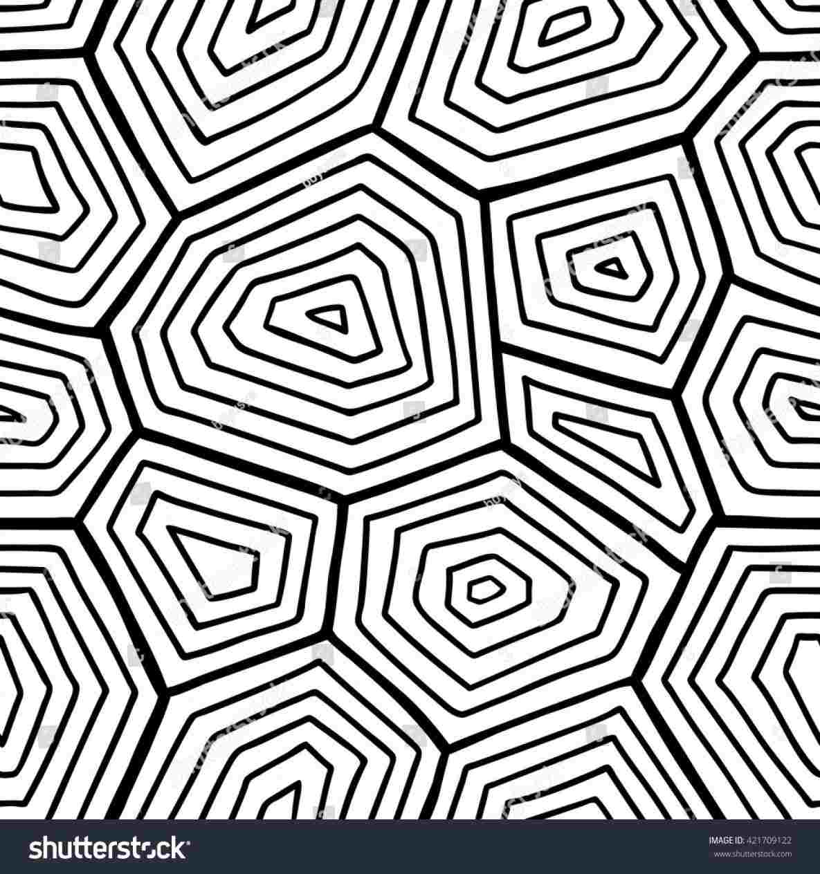 1185x1264 Free Turtle Drawing Download On Ubisaferhubisafeorg Ornate Shell