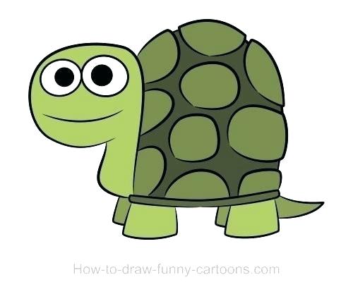 500x417 How Do You Draw A Turtle