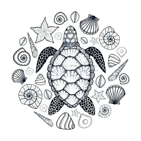 450x450 Turtle Shell Art