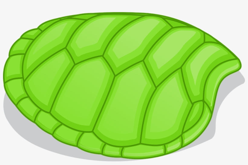 Turtle Shell Vector at Vectorified.com | Collection of Turtle Shell