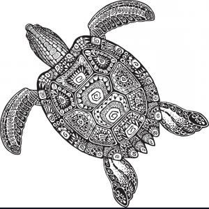 300x300 Tribal Tattoo Sea Turtle Shell Vectors Newwaysys