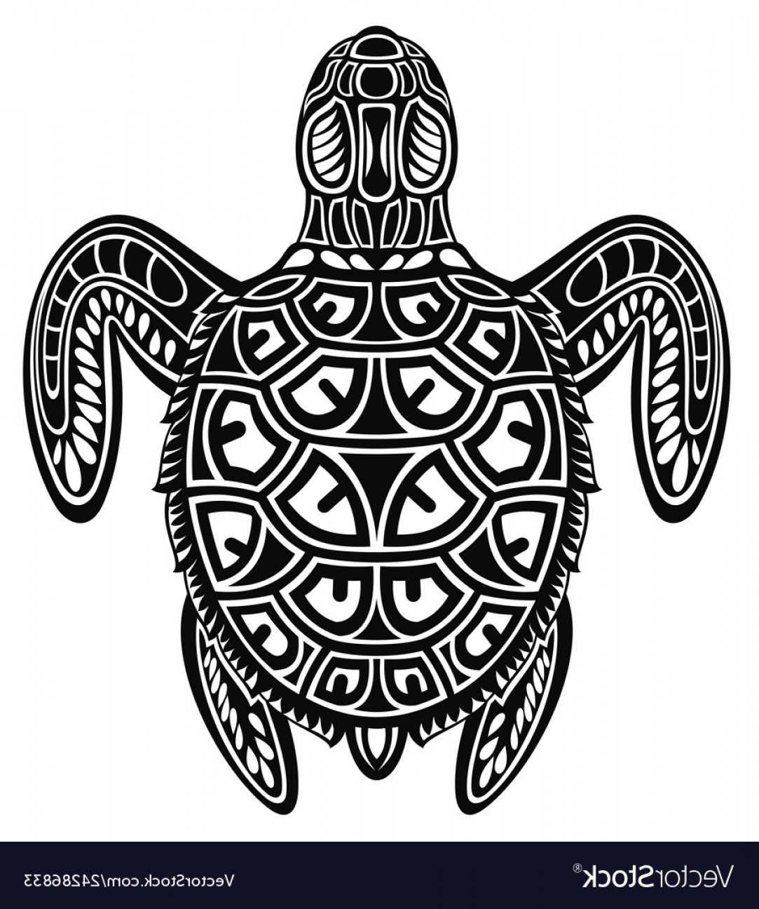 Turtle Shell Vector at Vectorified.com | Collection of Turtle Shell ...