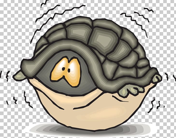 728x573 Turtle Shell Teenage Mutant Ninja Turtles Png, Clipart, Animals