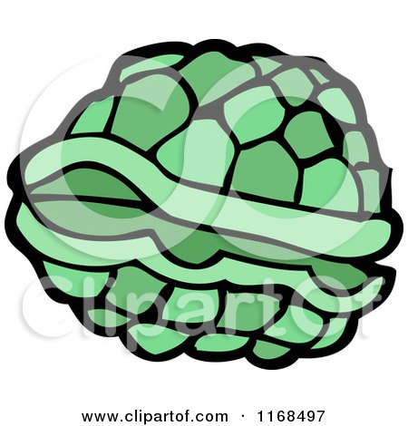 Turtle Shell Vector at Vectorified.com | Collection of Turtle Shell