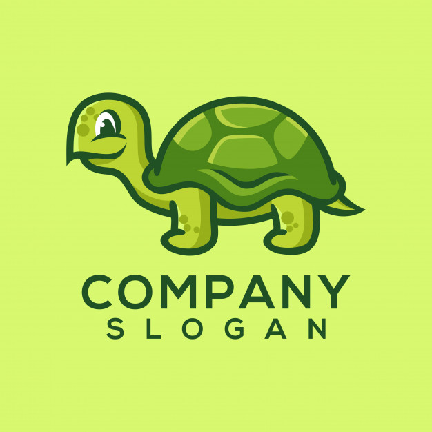 626x626 Turtleshell Vectors, Photos And Free Download