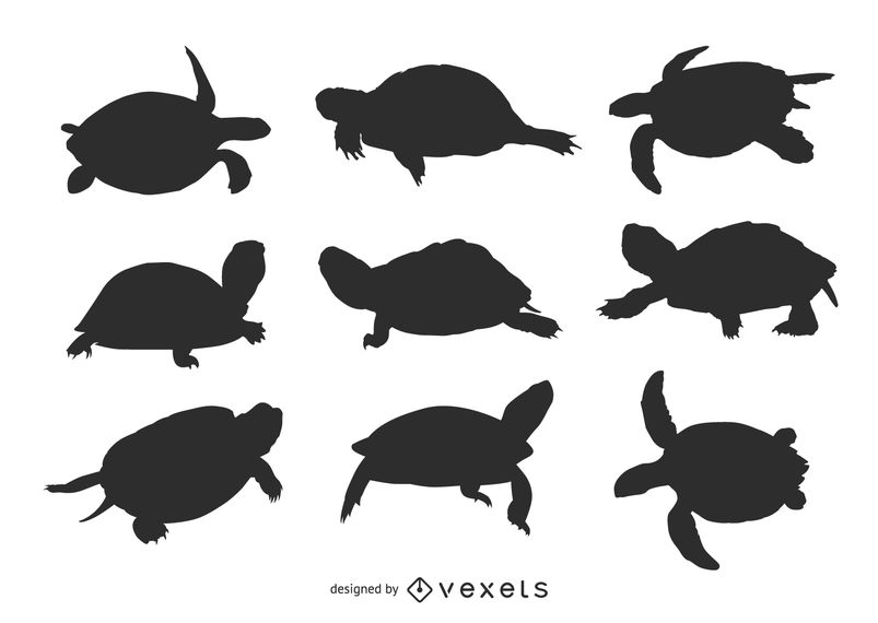 803x570 Set Of Turtle Silhouettes