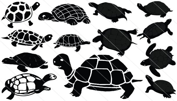 610x350 Turtle Silhouette Vector