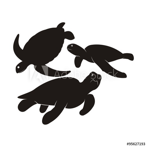 500x500 Turtle Silhouette Vector Set Of Turtle And Tortoise Silhouette