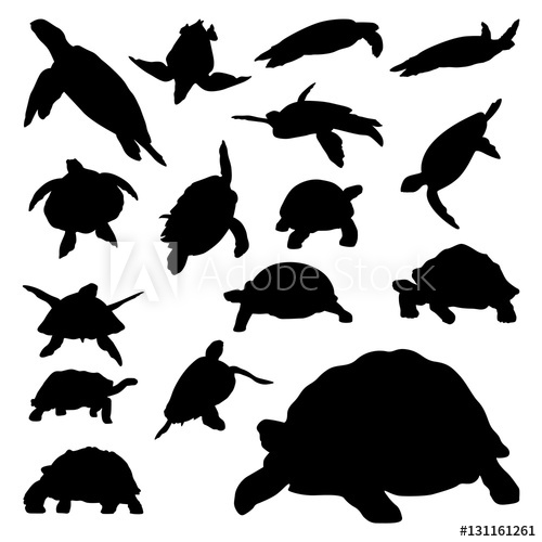 500x500 Turtle Tortoise Terrapin Walk Crawl Swim Vector Silhouette