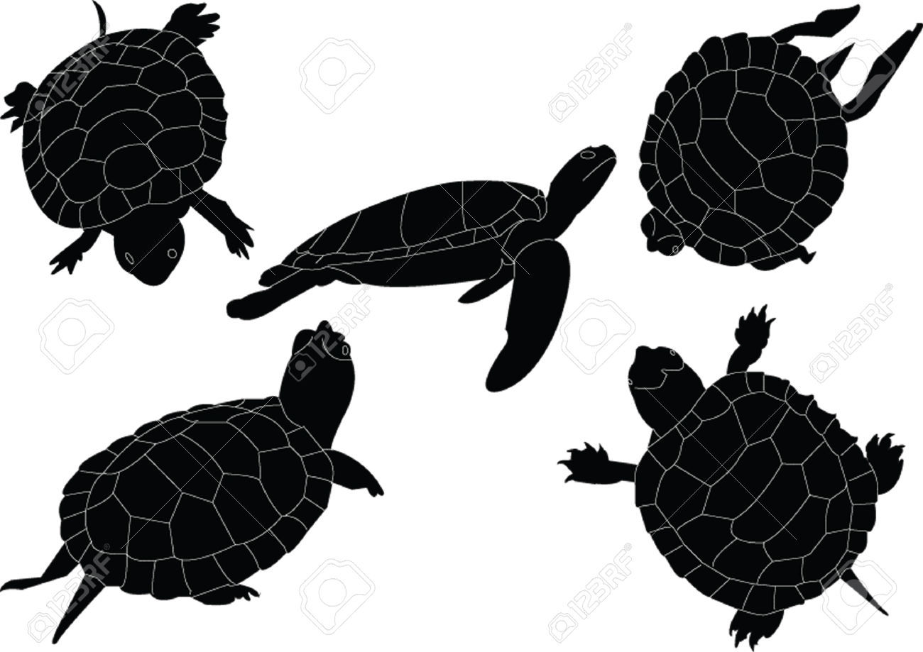 1300x919 Best Turtle Silhouette