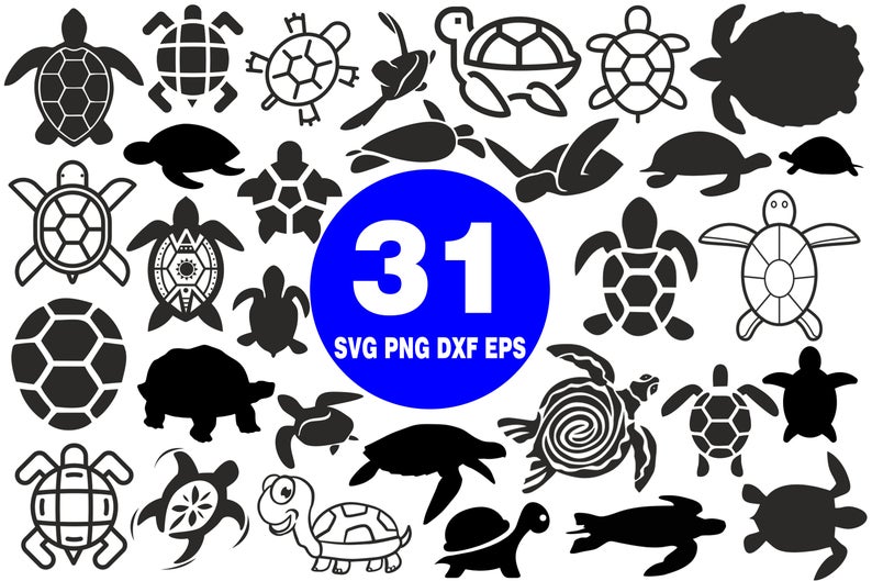 794x529 Turtle Svgturtle Bundle Svgturtle Clipartturtle Etsy