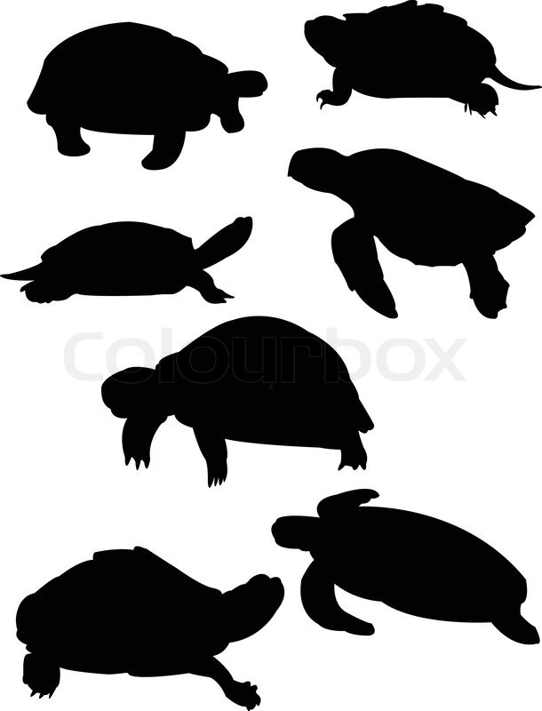 610x800 Illustration Of Turtles Silhouette