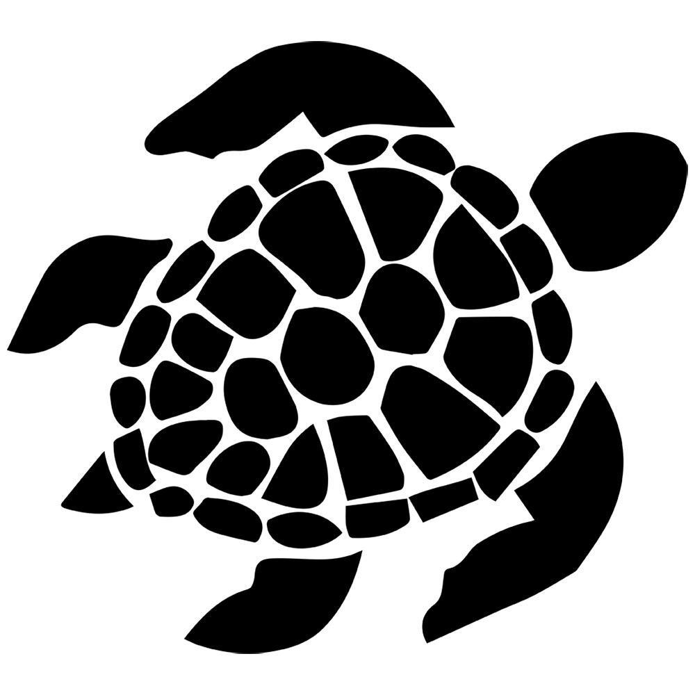 Turtle Vector