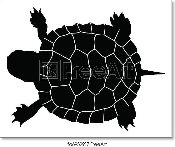 Free Art Print Of Turtle 560x470 Free Art Print Of Turtle