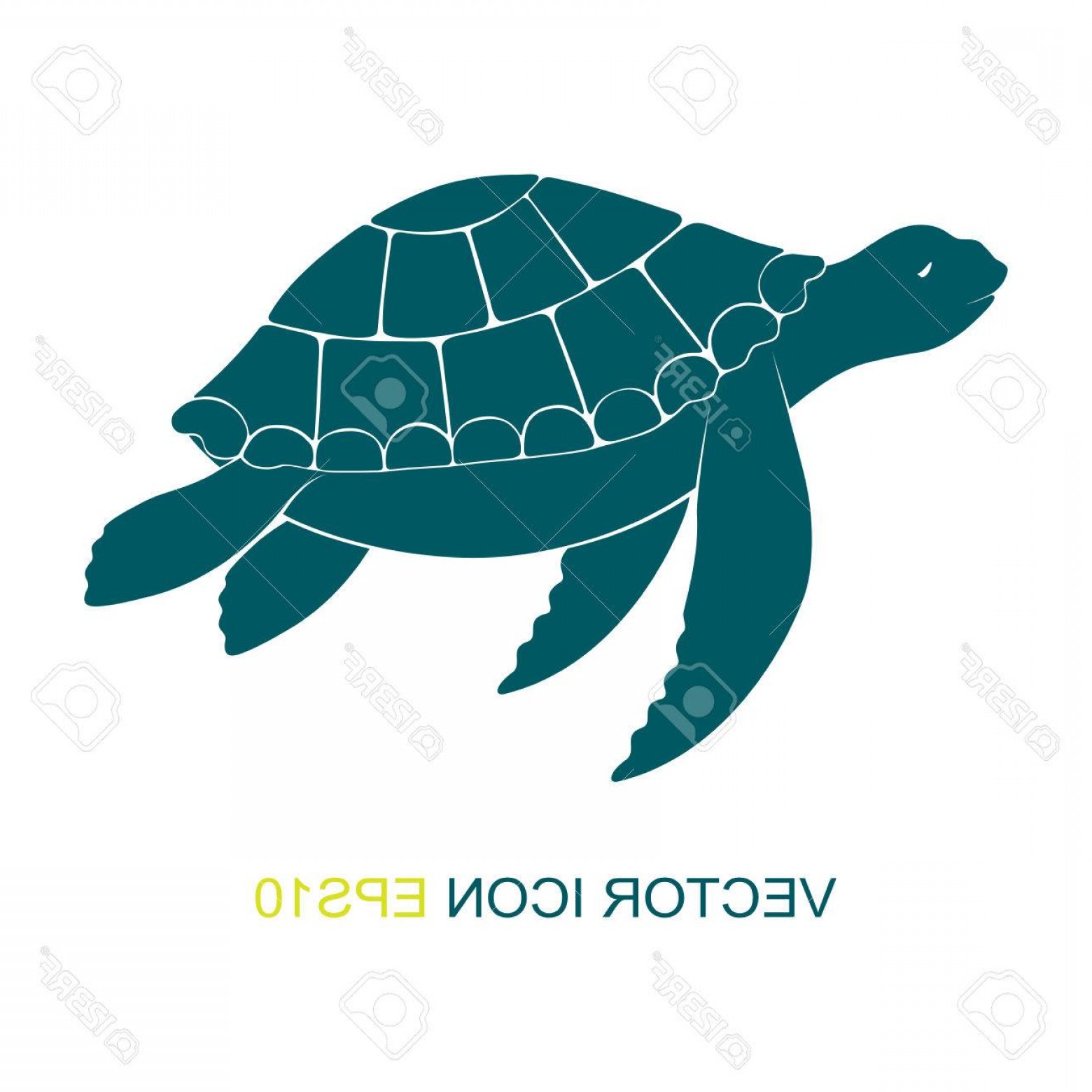 Photostock Vector Silhouette Of A Turtle Vector Logo View 1560x1560 Photostock Vector Silhouette Of A Turtle Vector Logo View