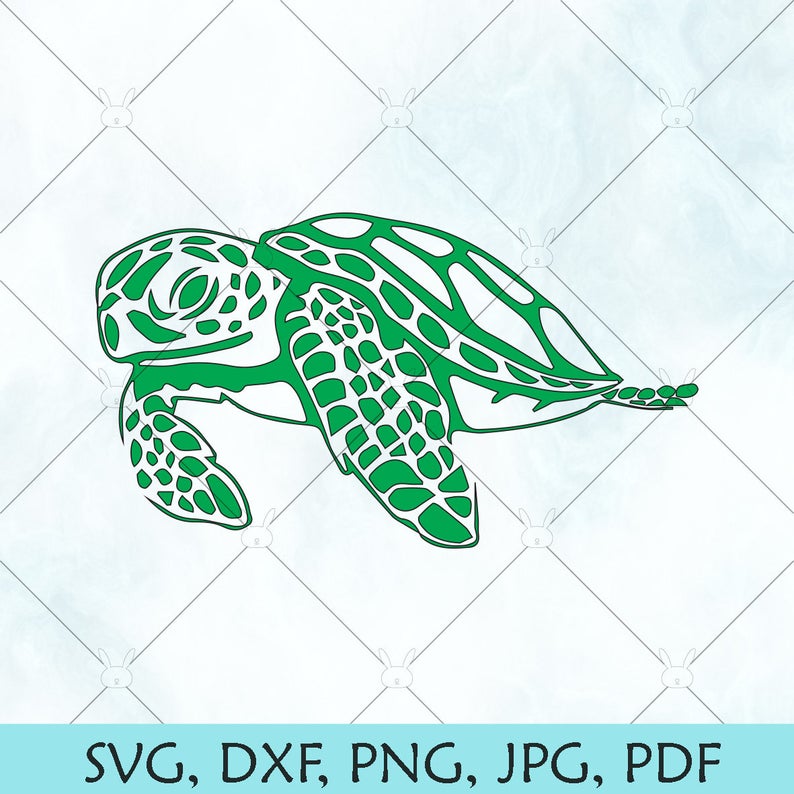 Sea Turtle Green Sea Turtle Sea Turtle Vector 794x794 Sea Turtle Green Sea Turtle Sea Turtle Vector