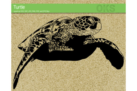 Sea Turtle Vector Graphic 580x386 Sea Turtle Vector Graphic