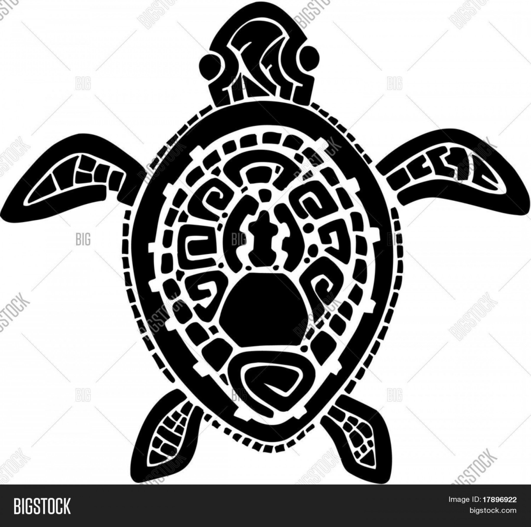 Turtle Vector at Vectorified.com | Collection of Turtle Vector free for ...