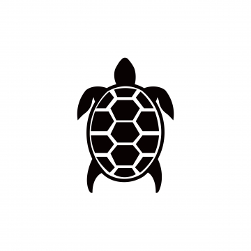 Turtle Png Images Vector And Free Download 360x360 Turtle Png Images Vector And Free Download