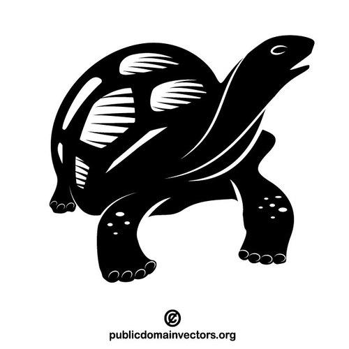 Turtle Vector at Vectorified.com | Collection of Turtle Vector free for ...