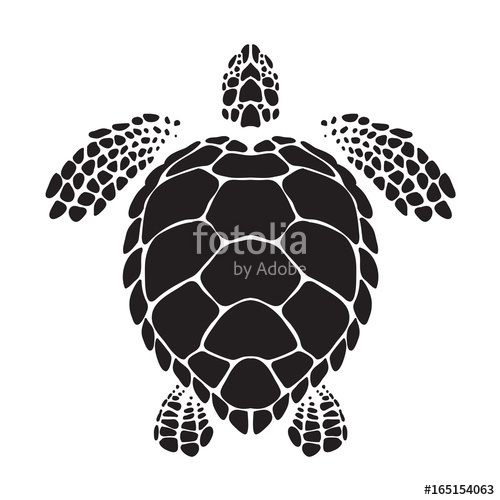 Graphic Sea Turtle, Vector Stock Image And Royalty Free Vector 500x500 Graphic Sea Turtle, Vector Stock Image And Royalty Free Vector
