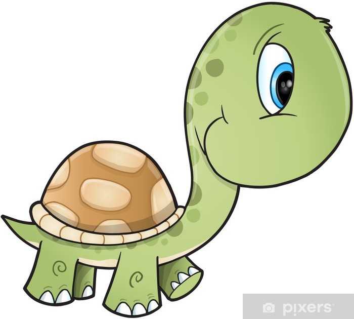 Cute Turtle Vector Art Wall Mural 700x630 Cute Turtle Vector Art Wall Mural