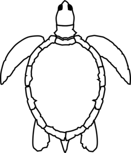 255x298 No Shell Sea Turtle Clip Art