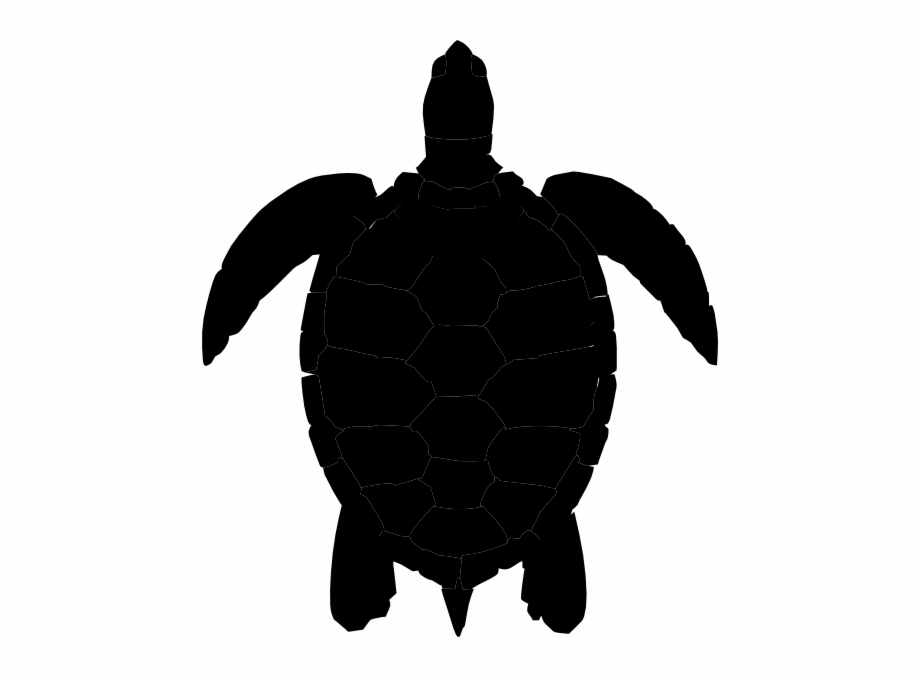 920x677 Plum Sea Turtle Clip Art At Vector Clip Art