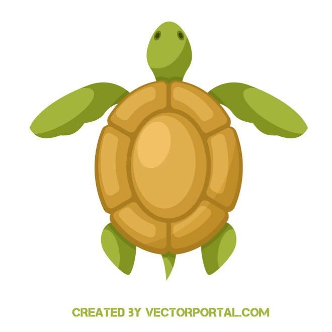 660x660 Sea Turtle Vector Image Animal Vectors Turtle, Free Vector