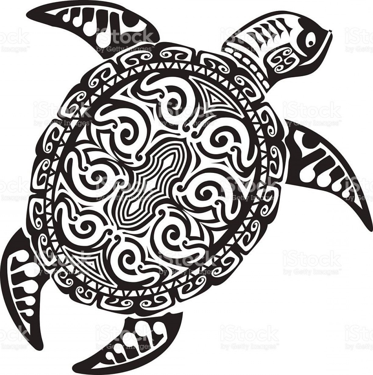 Turtle Vector Art at Vectorified.com | Collection of Turtle Vector Art ...