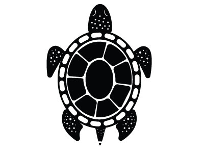 400x300 Turtle Vector Image