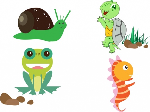 491x368 Turtle Free Vector Download