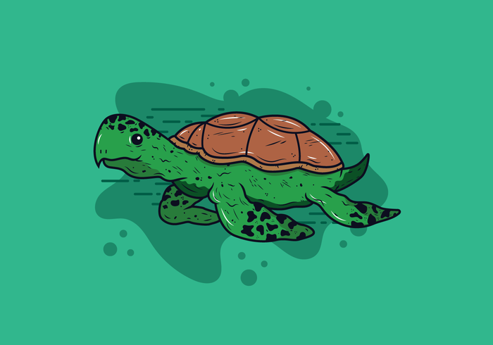 700x490 Turtles Vector