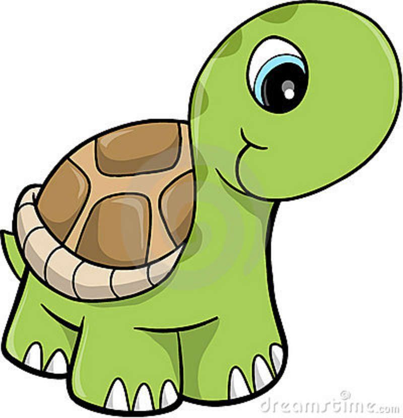 800x830 Free Cute Clip Art Cute Safari Turtle Vector Illustration