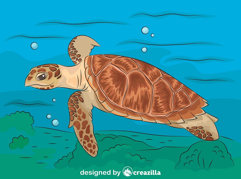 800x597 Hawksbill Sea Turtle Vector Free Download Creazilla