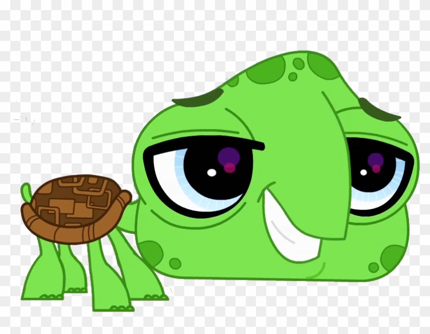 840x654 Lps Turtle Vector