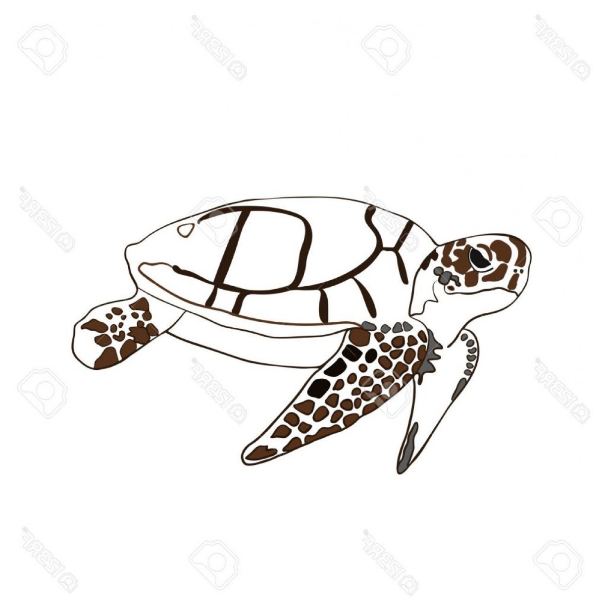 1228x1228 Ninja Turtles Vector Art Catamart