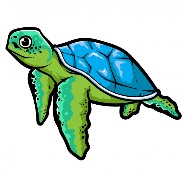 626x587 Sea Turtle Vector Vector Premium Download
