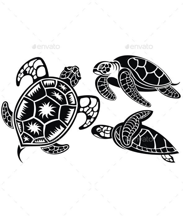 590x700 Turtles