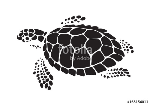 500x350 Graphic Sea Turtle, Vector Stock Image And Royalty Free Vector