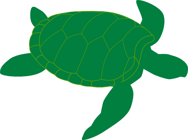 Turtle Vector Png at Vectorified.com | Collection of Turtle Vector Png ...