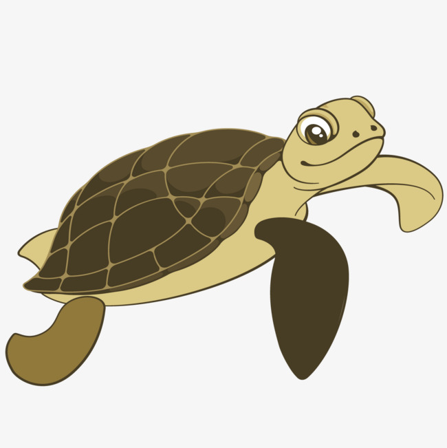 650x651 Sea Turtle Cartoon Png Transparent Sea Turtle Cartoon Images