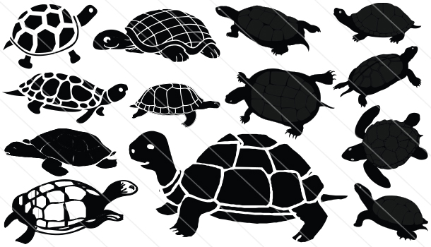 610x350 Turtle Silhouette Vector