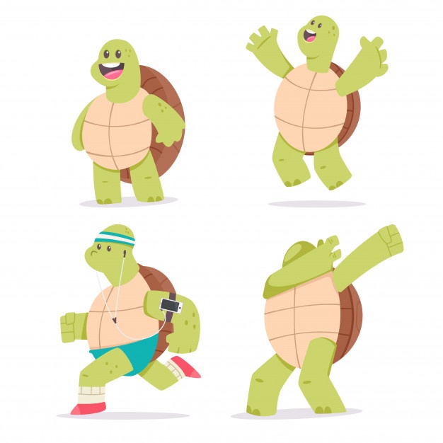 626x626 Turtle Vectors, Photos And Free Download