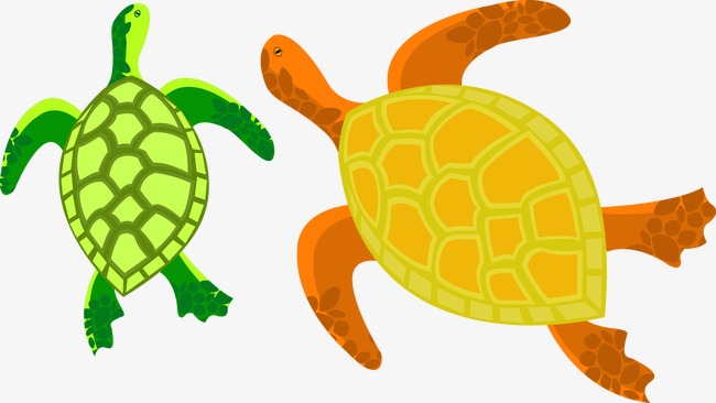 650x366 Cartoon Turtle, Cartoon Vector, Turtle Vector, Cartoon Png