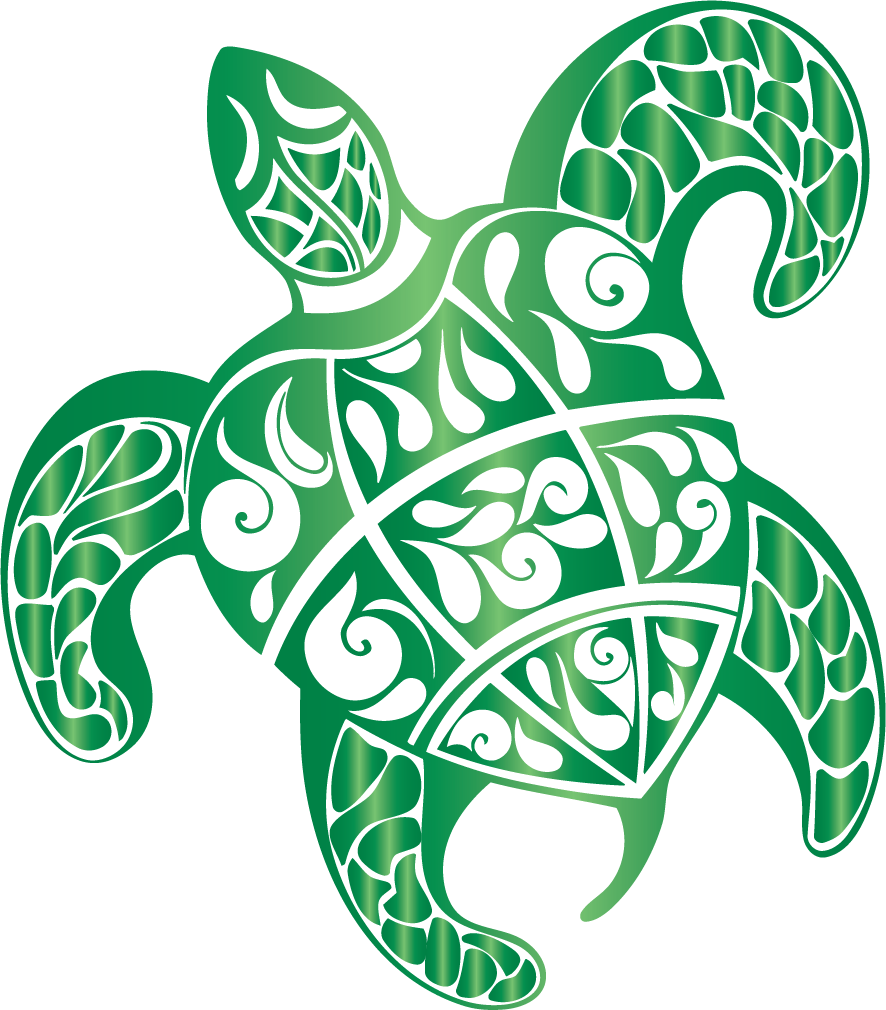 Turtle Vector Png at Vectorified.com | Collection of Turtle Vector Png ...