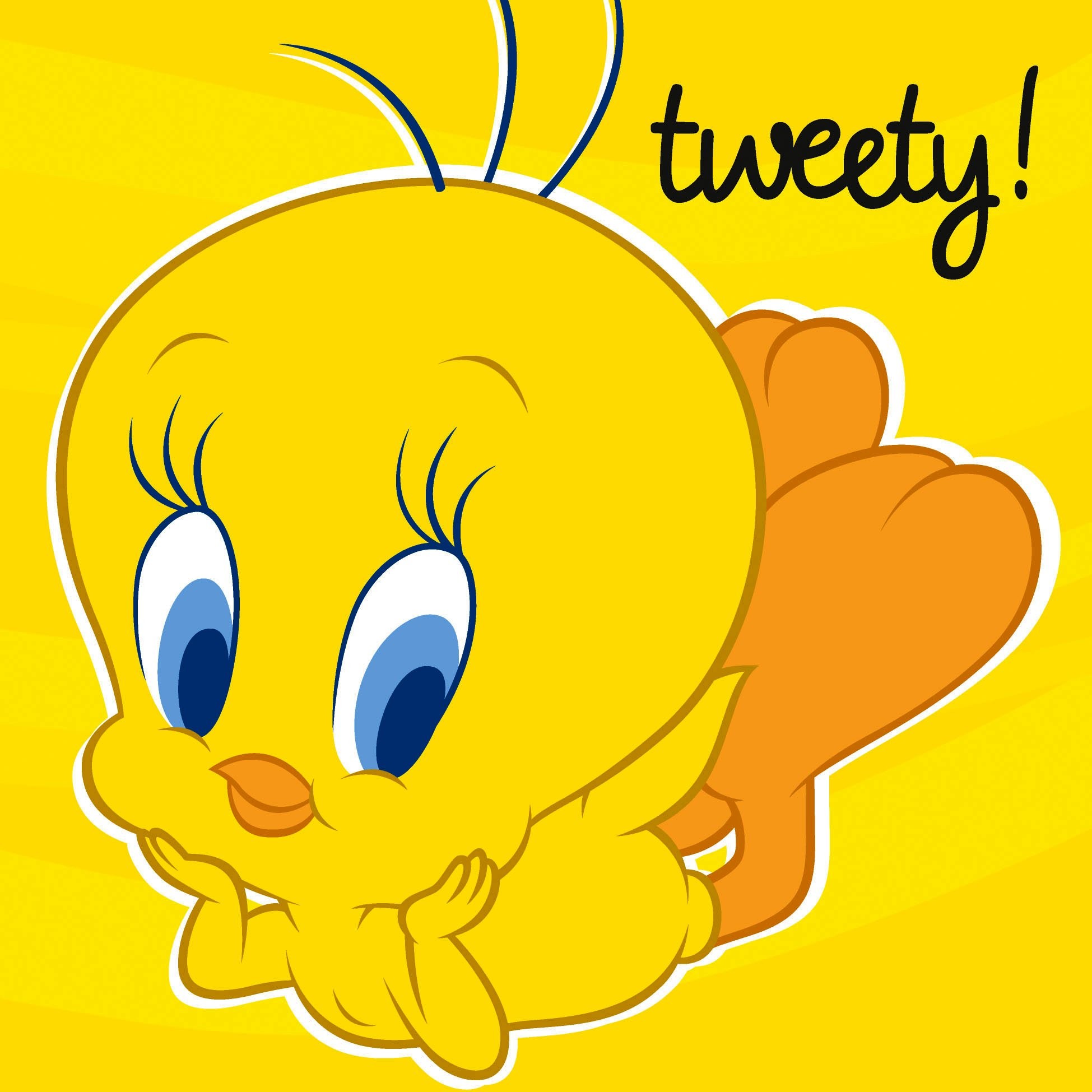 1949x1949 Wallpaper Tweety Bird Images