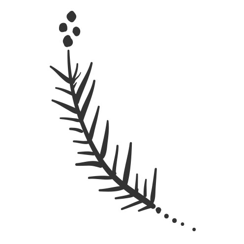 Hand Drawn Vector Illustrations 496x496 Hand Drawn Vector Illustrations