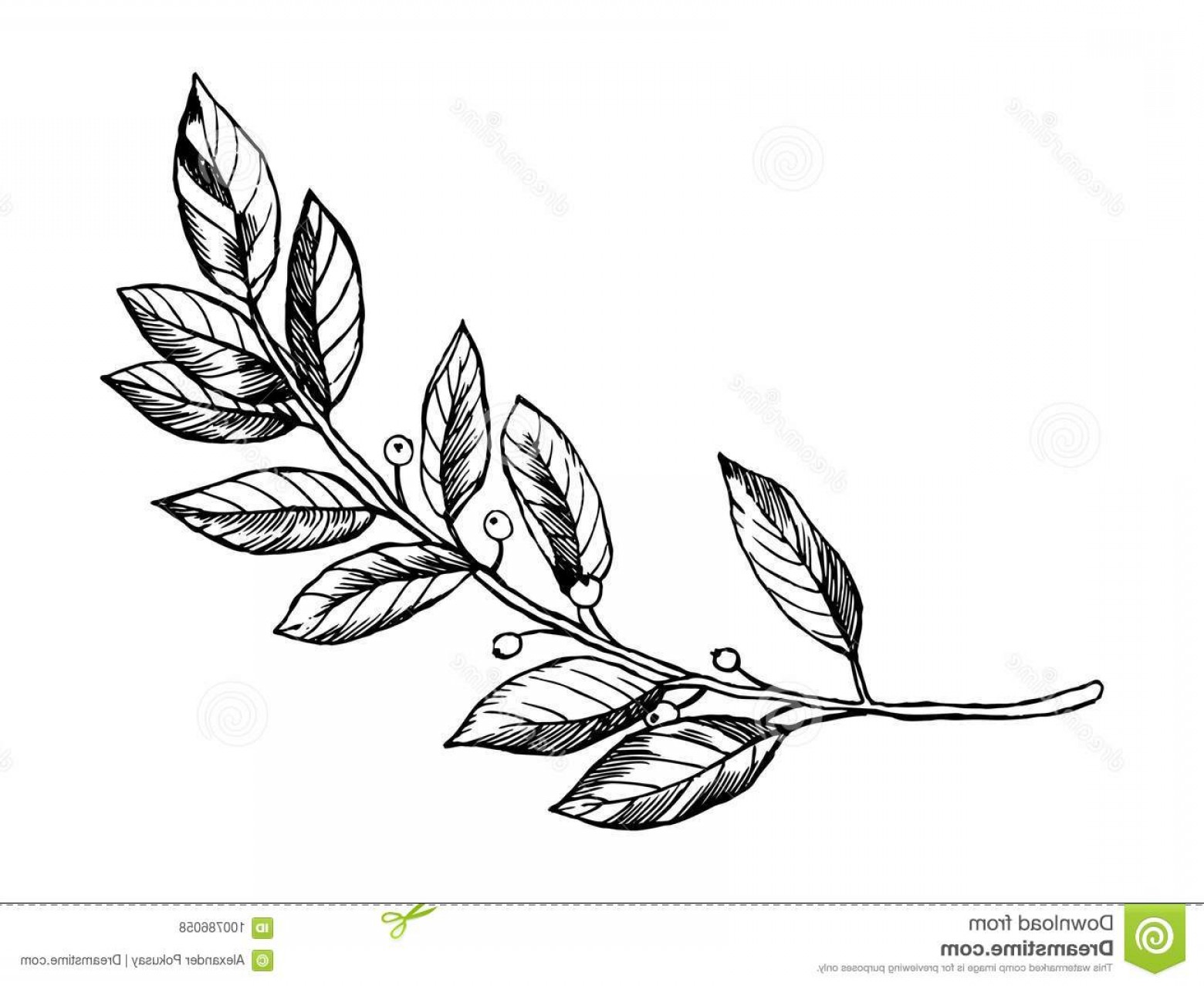 Twig Vector at Vectorified.com | Collection of Twig Vector free for ...