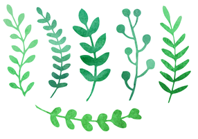 Twig Free Vector Art 286x200 Twig Free Vector Art